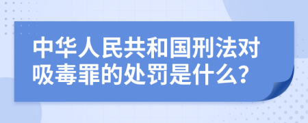 中华人民共和国刑法对吸毒罪的处罚是什么？