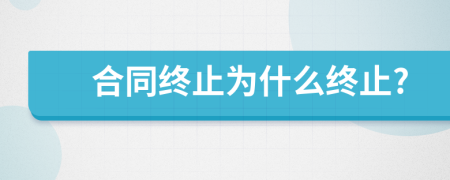 合同终止为什么终止?