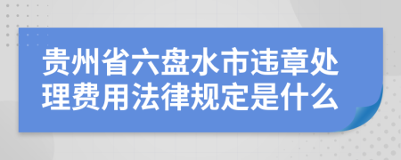 贵州省六盘水市违章处理费用法律规定是什么
