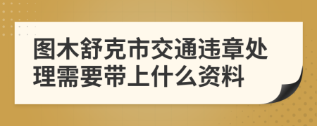 图木舒克市交通违章处理需要带上什么资料
