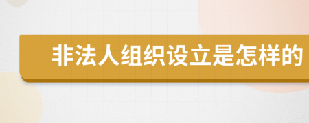 非法人组织设立是怎样的