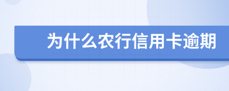 为什么农行信用卡逾期