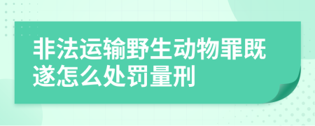 非法运输野生动物罪既遂怎么处罚量刑