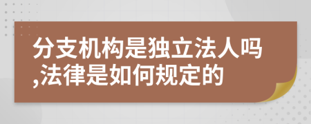 分支机构是独立法人吗,法律是如何规定的