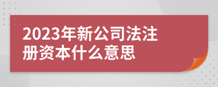 2023年新公司法注册资本什么意思