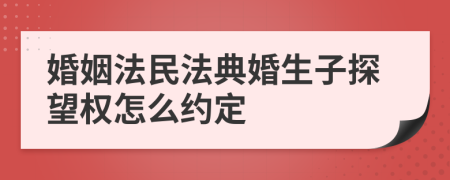 婚姻法民法典婚生子探望权怎么约定