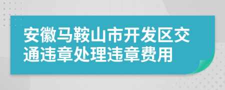 安徽马鞍山市开发区交通违章处理违章费用