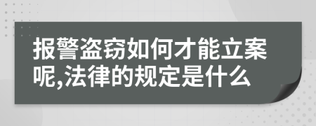 报警盗窃如何才能立案呢,法律的规定是什么