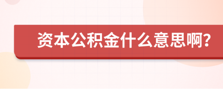 资本公积金什么意思啊？