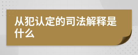 从犯认定的司法解释是什么