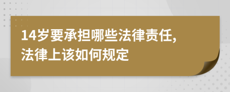 14岁要承担哪些法律责任,法律上该如何规定