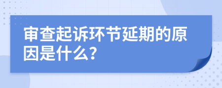 审查起诉环节延期的原因是什么？