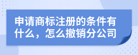 申请商标注册的条件有什么，怎么撤销分公司