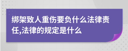 绑架致人重伤要负什么法律责任,法律的规定是什么