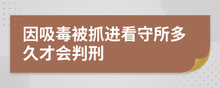 因吸毒被抓进看守所多久才会判刑