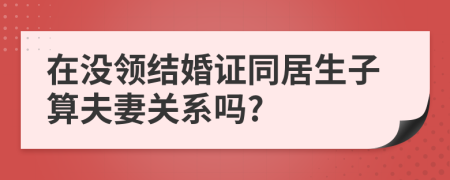 在没领结婚证同居生子算夫妻关系吗?