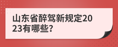 山东省醉驾新规定2023有哪些？