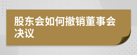 股东会如何撤销董事会决议