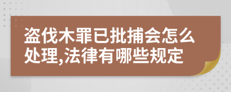 盗伐木罪已批捕会怎么处理,法律有哪些规定