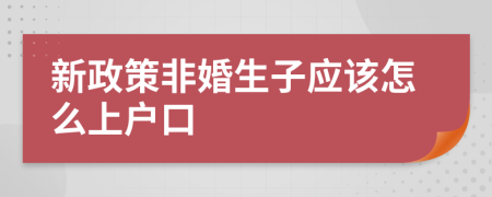 新政策非婚生子应该怎么上户口