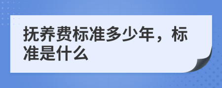 抚养费标准多少年，标准是什么