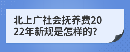 北上广社会抚养费2022年新规是怎样的？