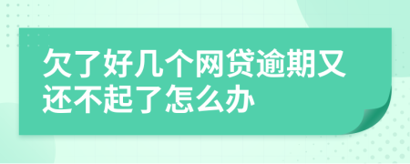 欠了好几个网贷逾期又还不起了怎么办