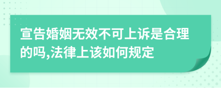宣告婚姻无效不可上诉是合理的吗,法律上该如何规定