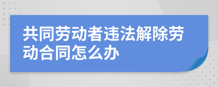 共同劳动者违法解除劳动合同怎么办