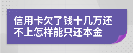 信用卡欠了钱十几万还不上怎样能只还本金