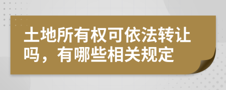 土地所有权可依法转让吗，有哪些相关规定