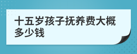 十五岁孩子抚养费大概多少钱