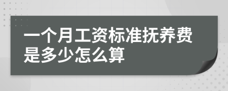 一个月工资标准抚养费是多少怎么算