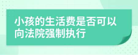 小孩的生活费是否可以向法院强制执行