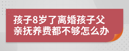 孩子8岁了离婚孩子父亲抚养费都不够怎么办