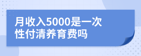 月收入5000是一次性付清养育费吗
