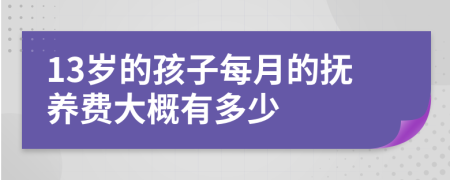 13岁的孩子每月的抚养费大概有多少