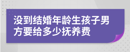 没到结婚年龄生孩子男方要给多少抚养费