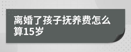 离婚了孩子抚养费怎么算15岁