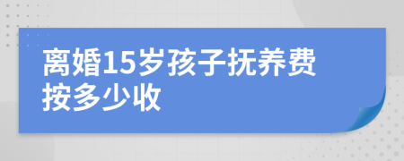 离婚15岁孩子抚养费按多少收