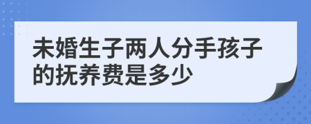 未婚生子两人分手孩子的抚养费是多少