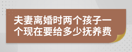 夫妻离婚时两个孩子一个现在要给多少抚养费