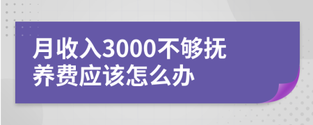 月收入3000不够抚养费应该怎么办