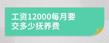 工资12000每月要交多少抚养费