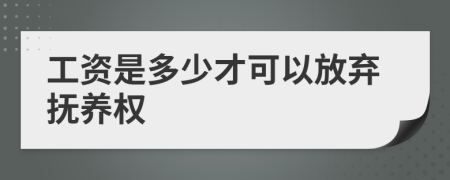 工资是多少才可以放弃抚养权