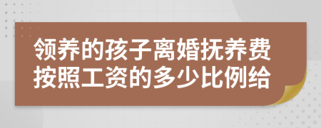 领养的孩子离婚抚养费按照工资的多少比例给