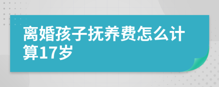 离婚孩子抚养费怎么计算17岁