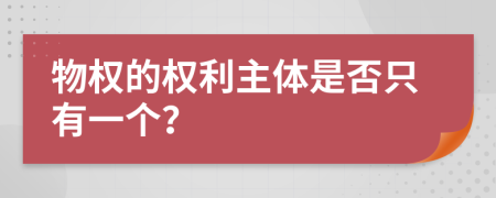 物权的权利主体是否只有一个？