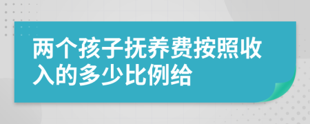 两个孩子抚养费按照收入的多少比例给