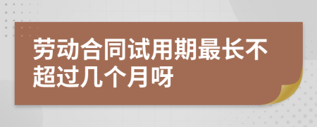 劳动合同试用期最长不超过几个月呀